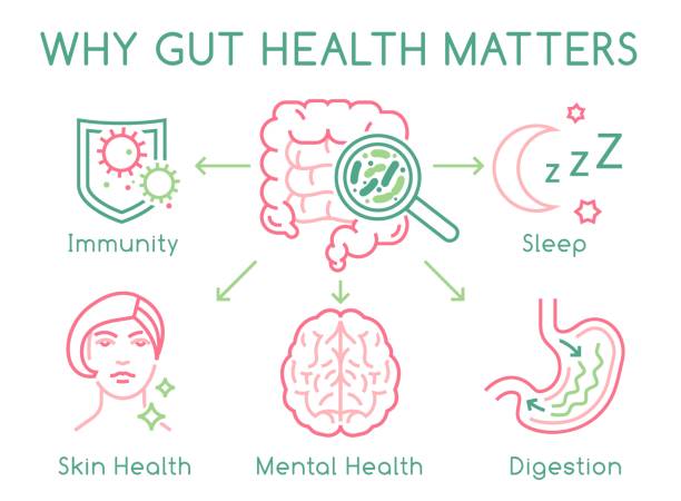 The Human Microbiota - Introduction