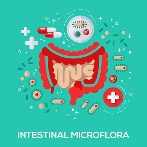 Exploring Microbiome Self-Testing: Your Window into Gut Health